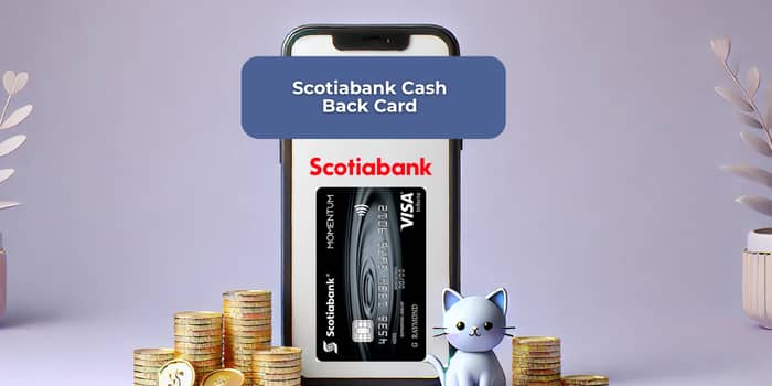 Scotiabank Cash Back Card: See everything you need to know